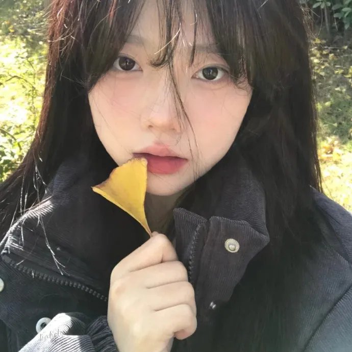 窃影迷踪