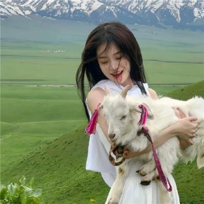 校园丑闻事件簿